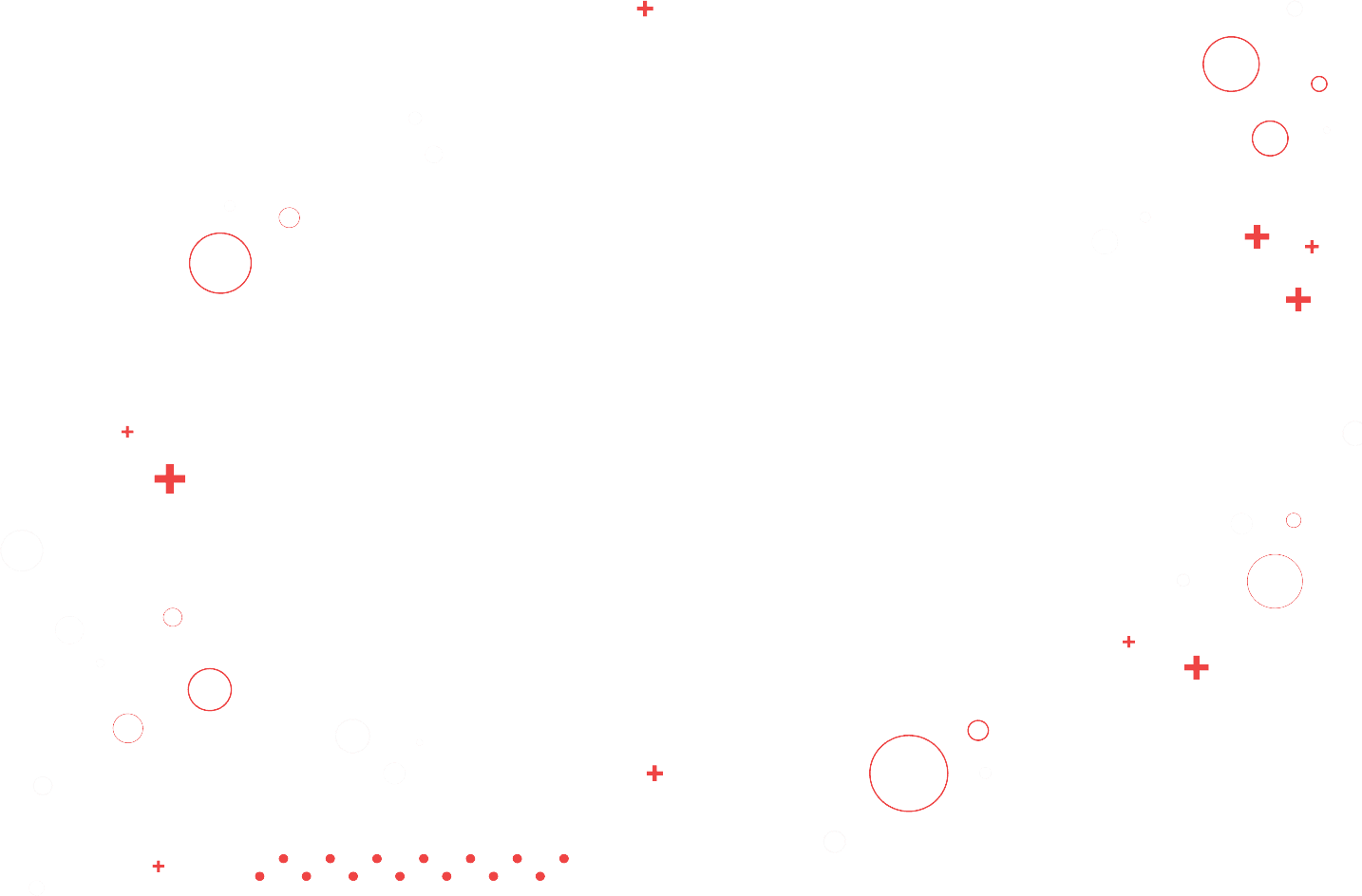 fondo